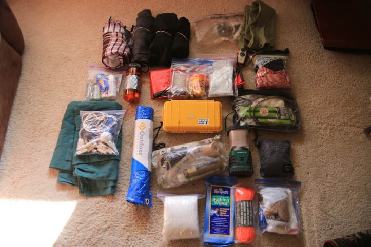 Evacuation Bag Supplies at www.carriereedtravels.com