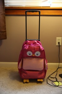 Flying with Little Kids: Must have accessories and tips at www.carriereedtravels.com