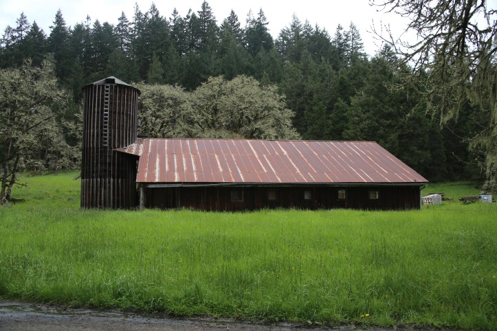 Mt Pisgah Arboretum near Eugene, Oregon | www.carriereedtravels.com
