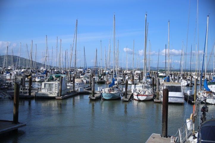 San Francisco in 3 Days with Little Kids | www.carriereedtravels.com