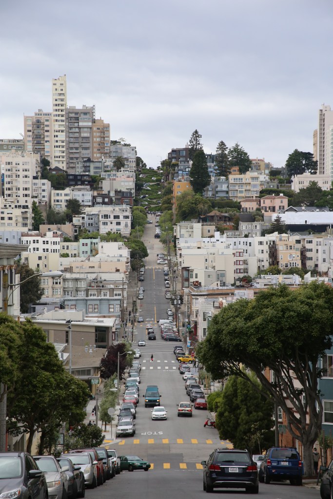 San Francisco in 3 Days with Little Kids | www.carriereedtravels.com