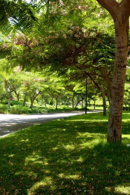 Blog_Al Azhar Park - 15