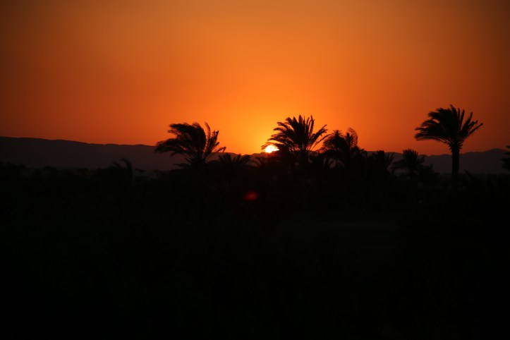 El Gouna with Kids: A Red Sea Resort Town | www.carriereedtravels.com