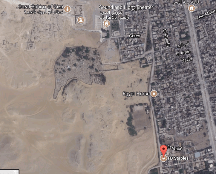 Pyramids of Giza on Horseback with Kids | www.carriereedtravels.com