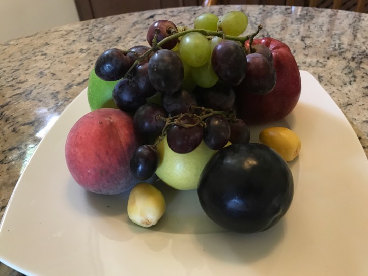 Sharm El Sheik, Egypt: Four Seasons Resort with Kids | www.carriereedtravels.com