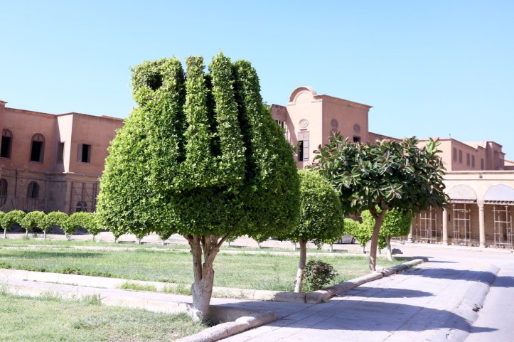 The Citadel in Cairo with Kids: A Guide + History of the Complex | www.carriereedtravels.com