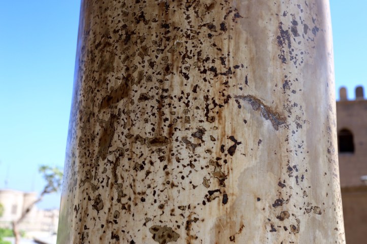 The Citadel in Cairo with Kids: A Guide + History of the Complex | www.carriereedtravels.com