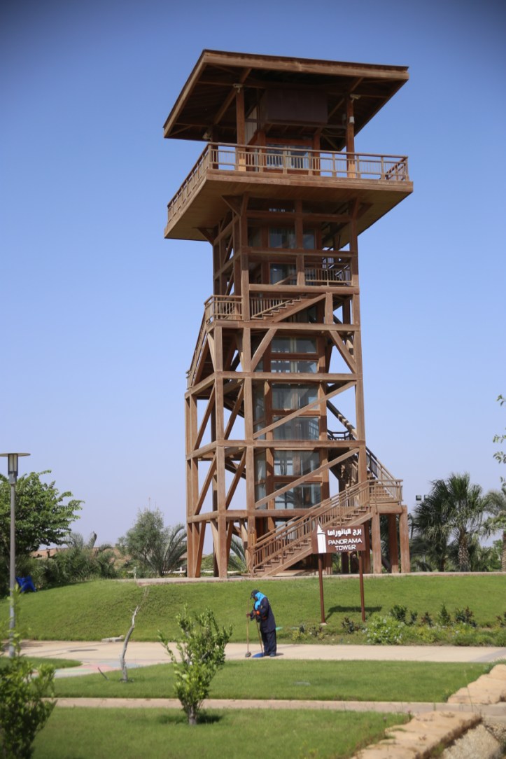 Family Park_Blog - 12