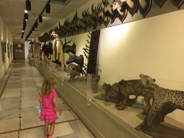 Rhoda Island_Blog - 6