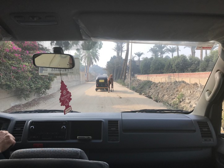 Al Sorat Farm outside Cairo: A Peaceful Oasis | www.carriereedtravels.com