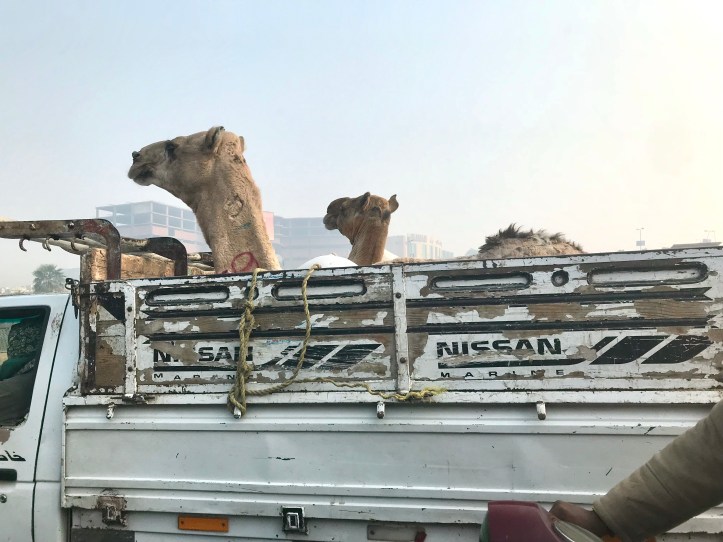 Children's Civilization and Creativity Center AKA Children's Museum in Heliopolis, Cairo, Egypt | www.carriereedtravels.com