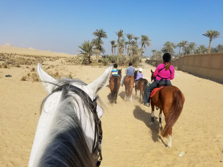 Horseback Riding Near Abusir Pyramids with Kids |www.carriereedtravels.com