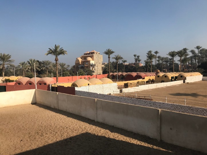 Horseback Riding Near Abusir Pyramids with Kids |www.carriereedtravels.com