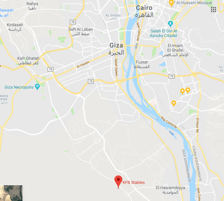 Screenshot 2018-03-01 09.15.14