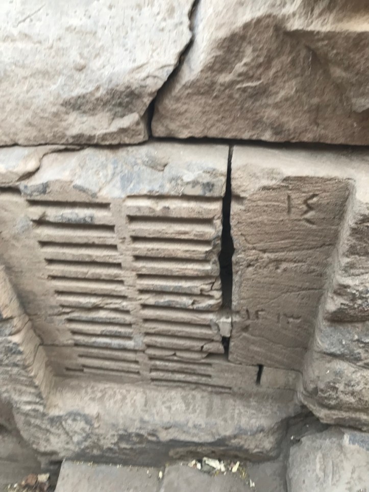 3 Nights in Aswan with Kids: A Guide | www.carriereedtravels.com