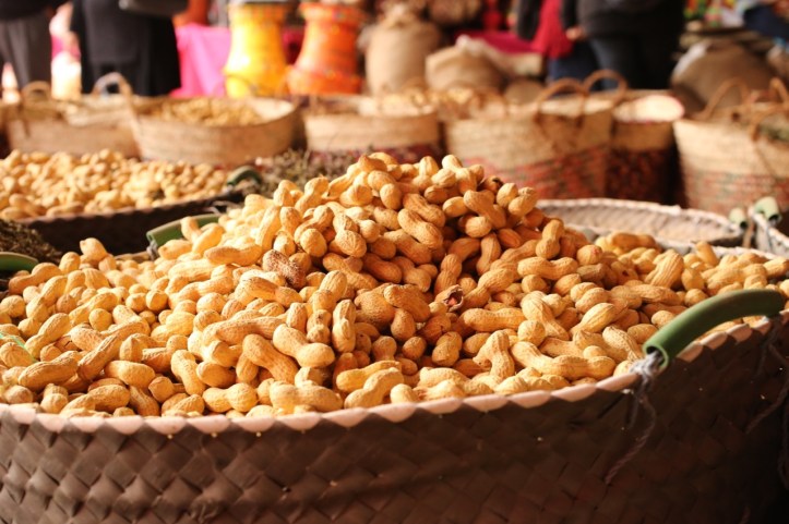 Blog_Orman Garden Show - 23