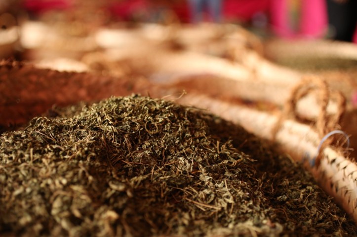 Blog_Orman Garden Show - 24