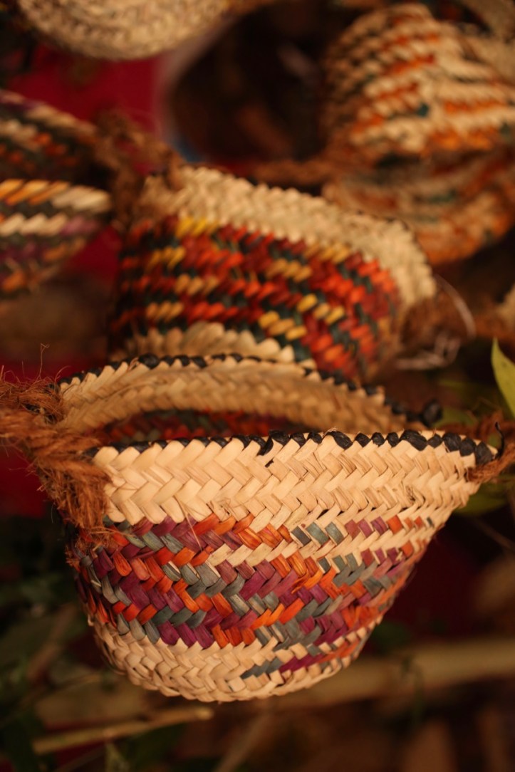 Blog_Orman Garden Show - 25