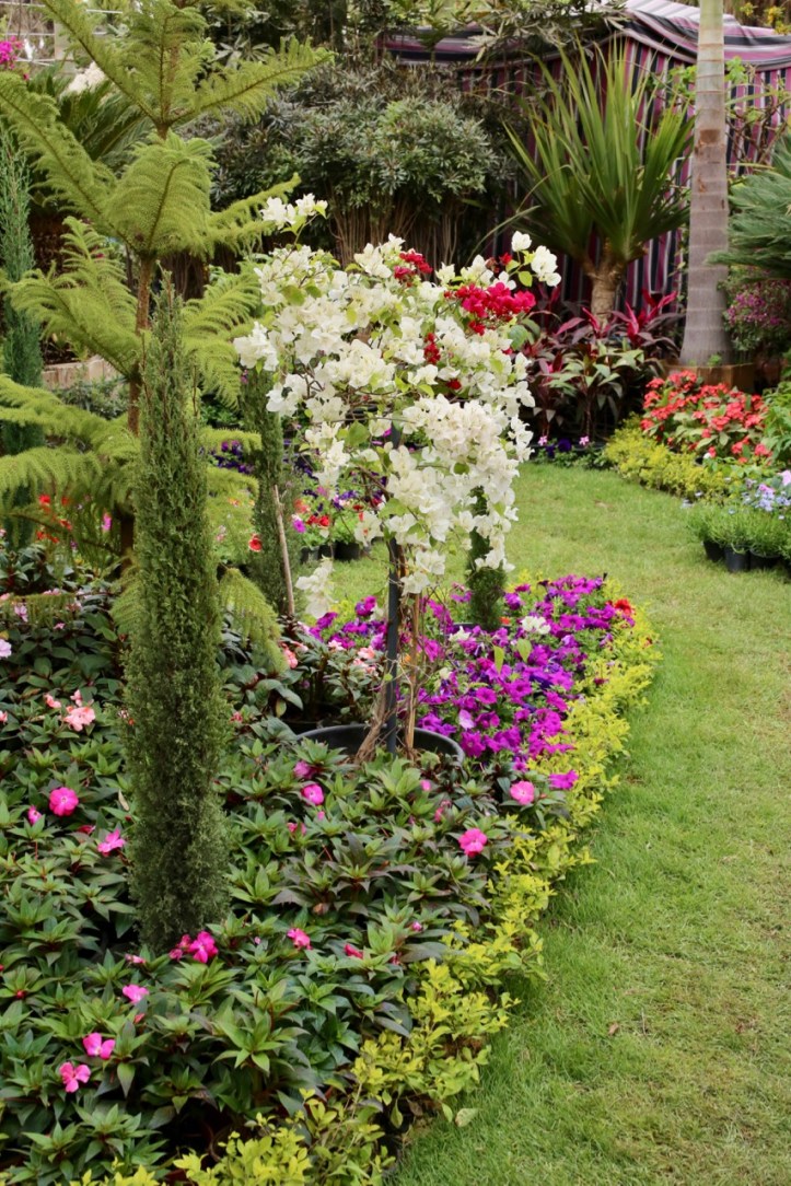 Blog_Orman Garden Show - 3