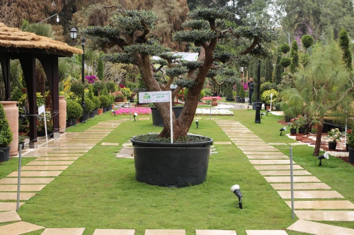 Blog_Orman Garden Show - 9