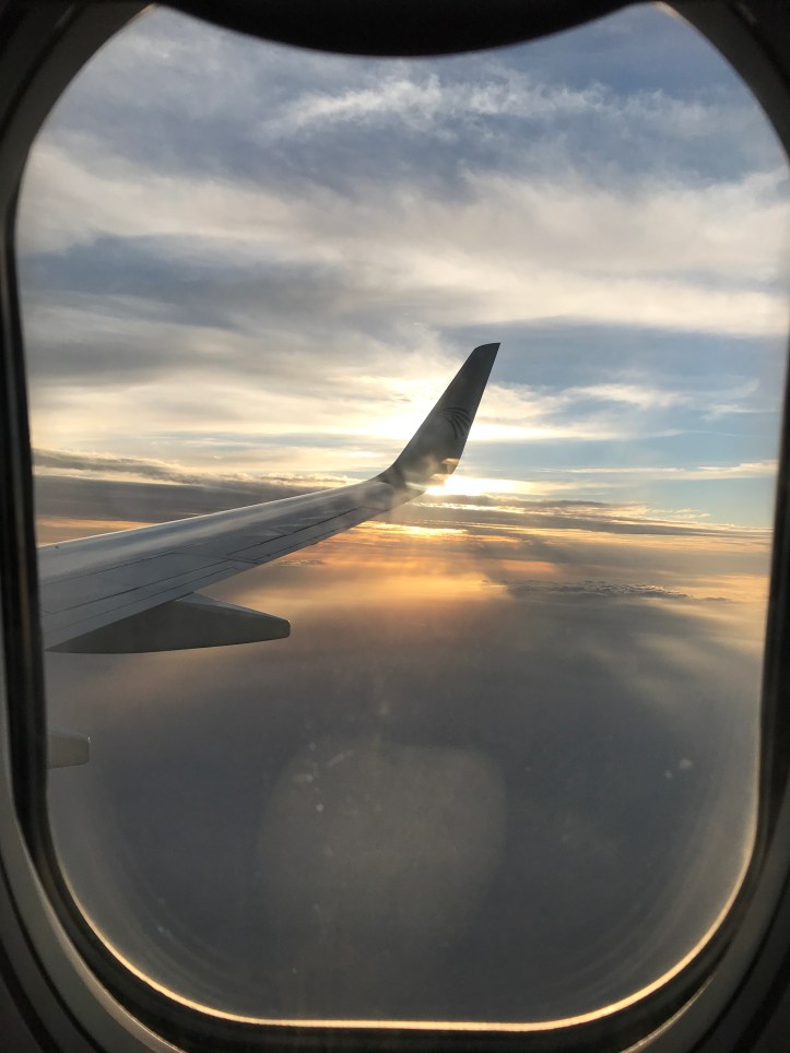 Guide to Surviving Long Haul Flights with Little Kids: Part 3-On the Plane | www.carriereedtravels.com