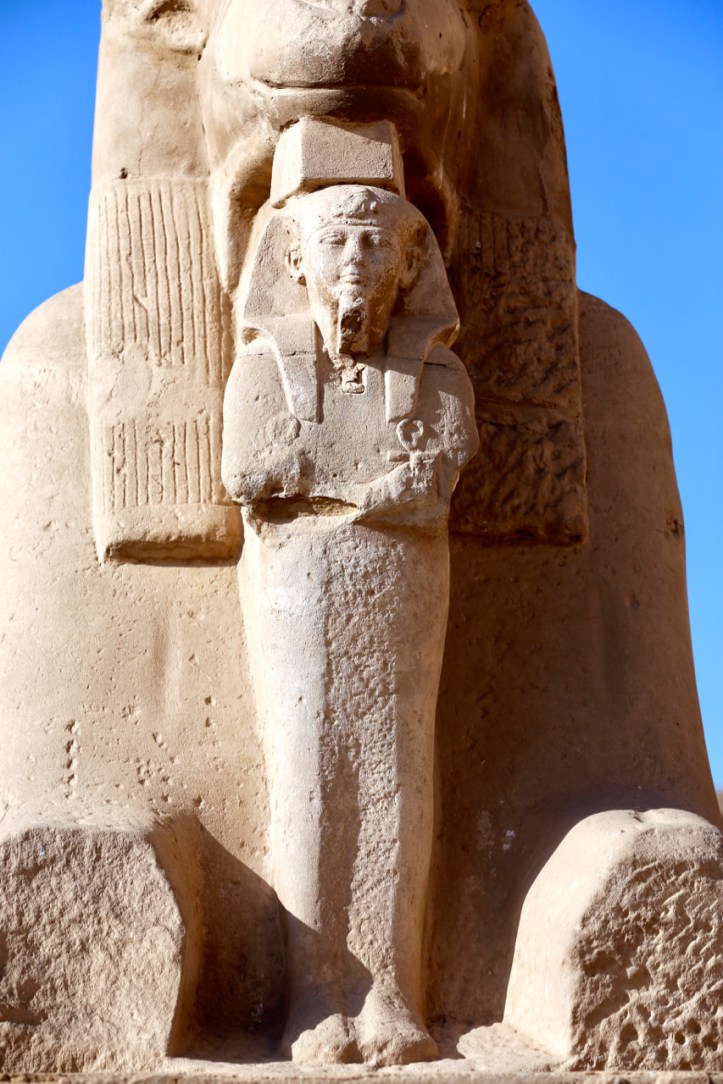 Luxor, Egypt with Kids: Part 1-Luxor and Karnak Temples | www.carriereedtravels.com