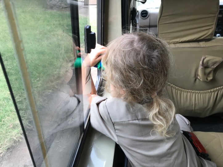 "Don't Take Your Kids on Safari!"-My Response to Naysayers | www.carriereedtravels.com