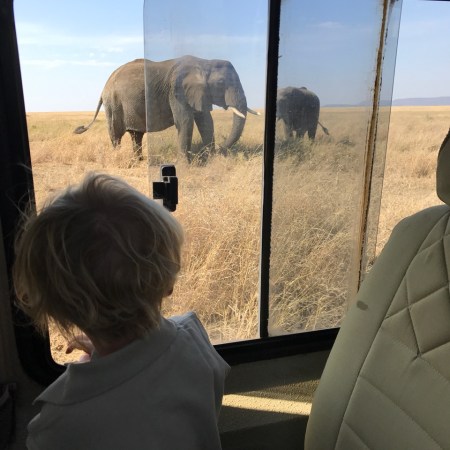 "Don't Take Your Kids on Safari!"-My Response to Naysayers | www.carriereedtravels.com