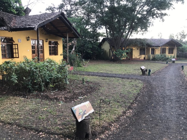 Kids on Safari: Arusha and Rivertrees Country Inn, Tanzania | www.carriereedtravels.com