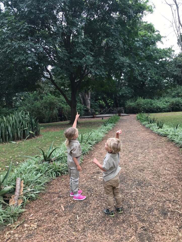 Kids on Safari: Arusha and Rivertrees Country Inn, Tanzania | www.carriereedtravels.com