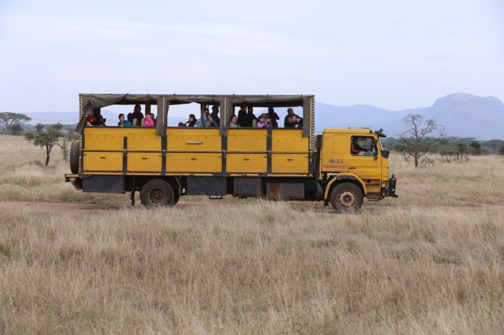Kids on Safari: 8 Nights in Tanzania, An Overview