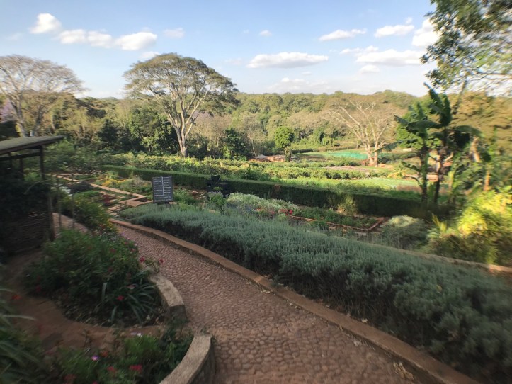 Kids on Safari: 8 Nights in Tanzania, An Overview