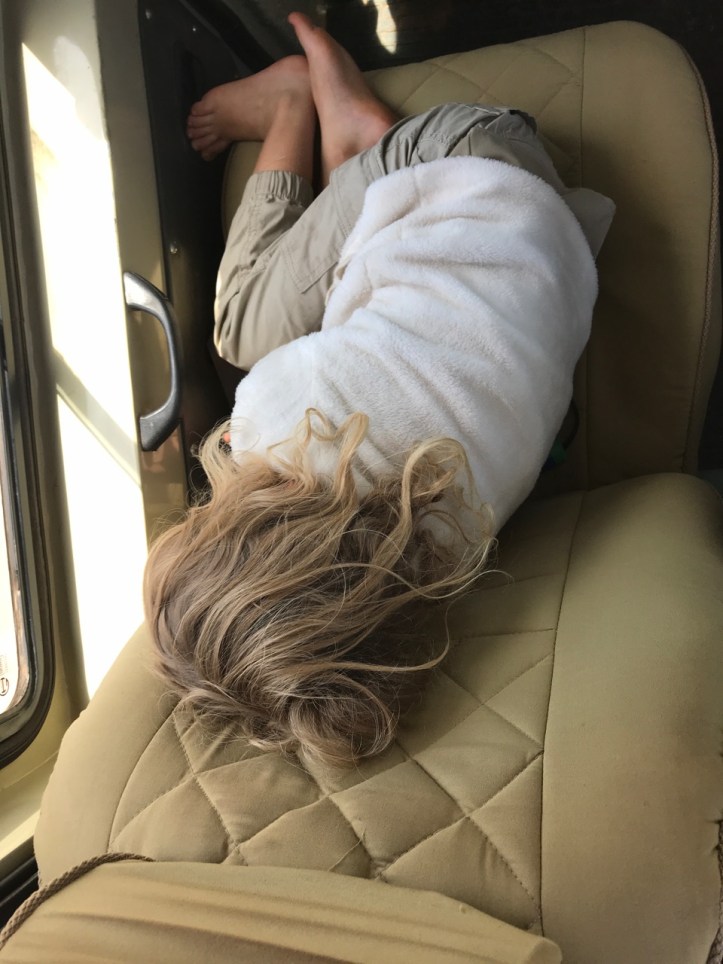 Kids on Safari: 8 Nights in Tanzania, An Overview | www.carriereedtravels.com