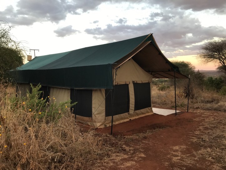 Kids on Safari: 8 Nights in Tanzania, An Overview | www.carriereedtravels.com