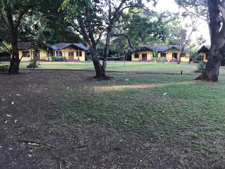 Kids on Safari: 8 Nights in Tanzania, An Overview | www.carriereedtravels.com