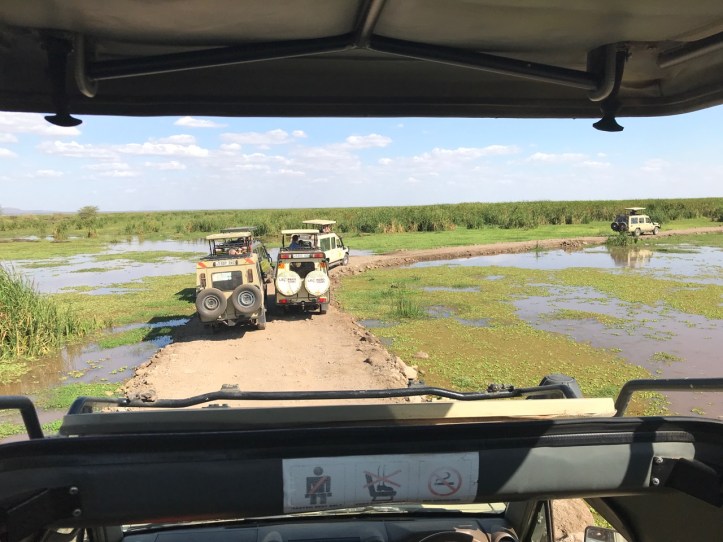 Blog Safari Overview - 5