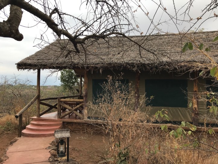 Kids on Safari: 8 Nights in Tanzania, An Overview