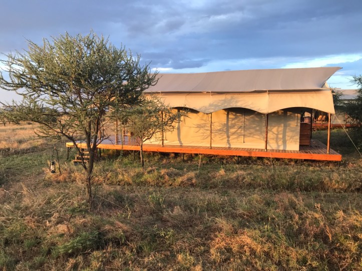 Kids on Safari: Siringit Serengeti Camp, Tanzania Review | www.carriereedtravels.com