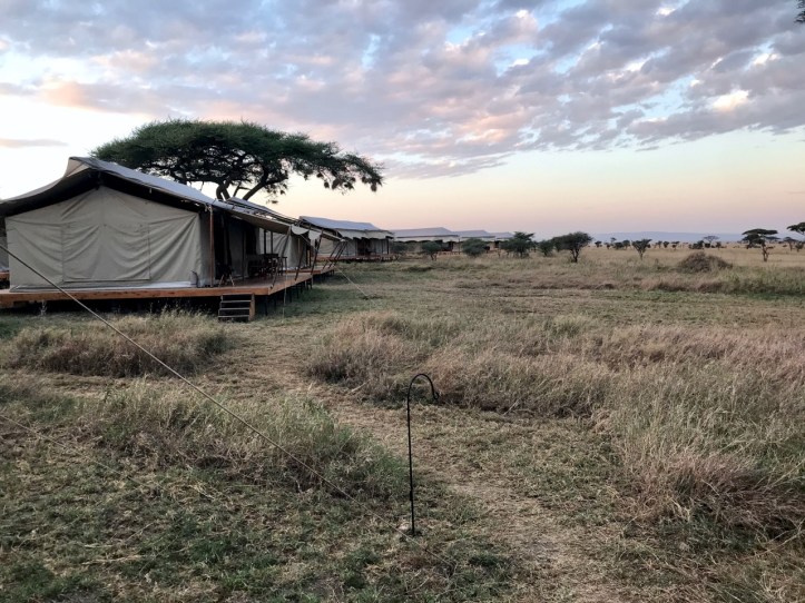 Kids on Safari: Siringit Serengeti Camp, Tanzania Review | www.carriereedtravels.com
