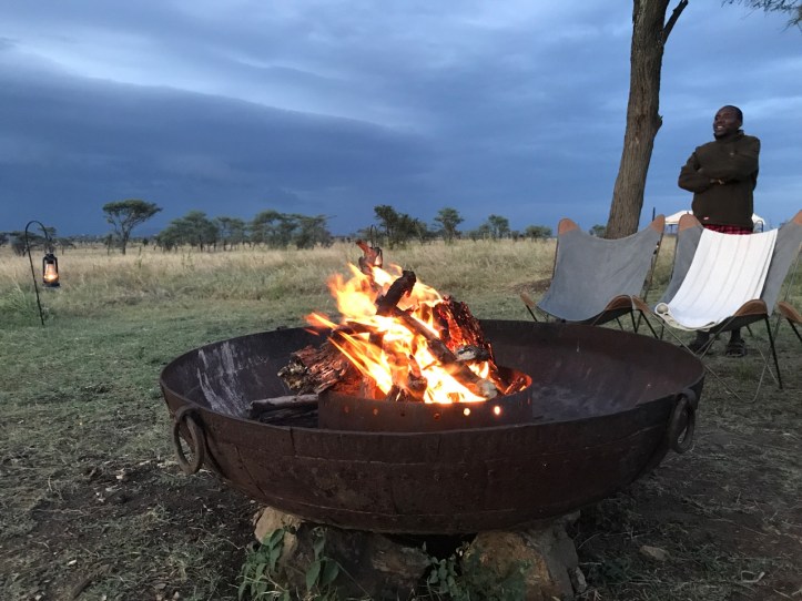 Kids on Safari: Siringit Serengeti Camp, Tanzania Review | www.carriereedtravels.com