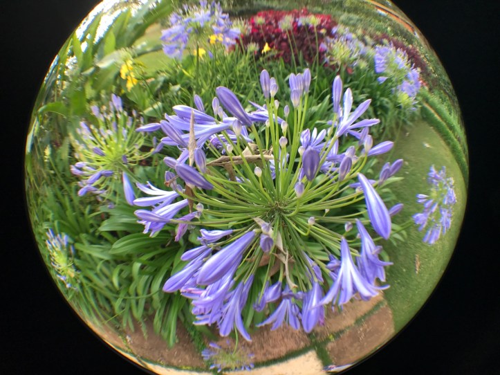 Blog_Gibbs Farm - 10