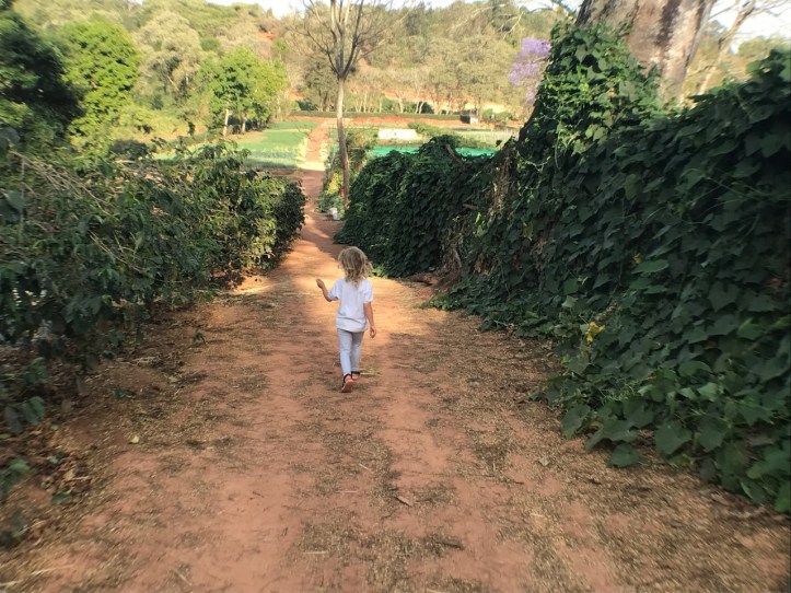 Blog_Gibbs Farm - 13