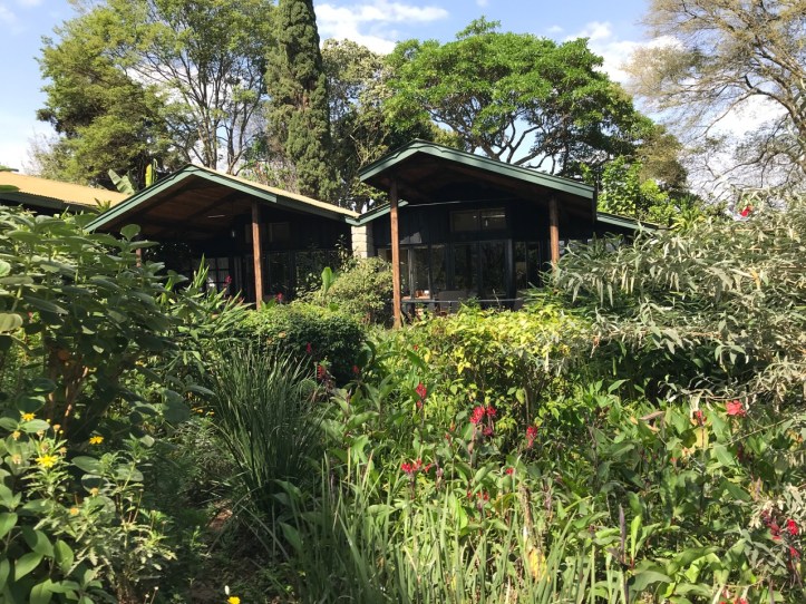 Kids on Safari: Gibb's Farm Hotel Review at Ngorongoro Crater, Tanzania