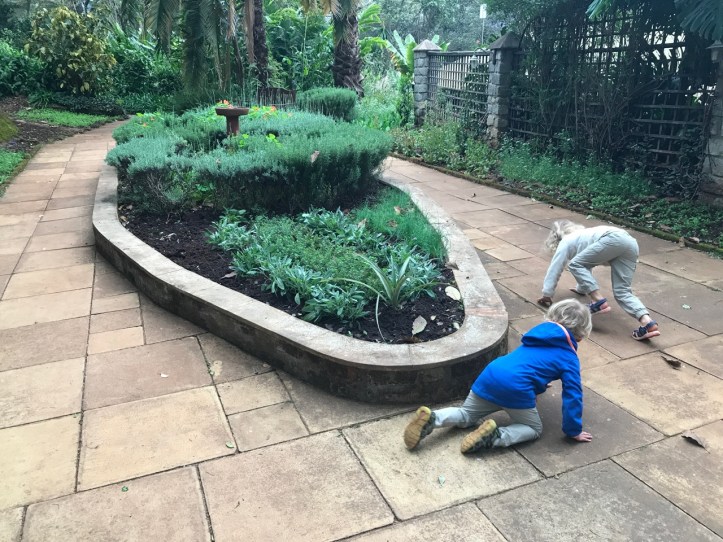 Kids on Safari: Gibb's Farm Hotel Review at Ngorongoro Crater, Tanzania