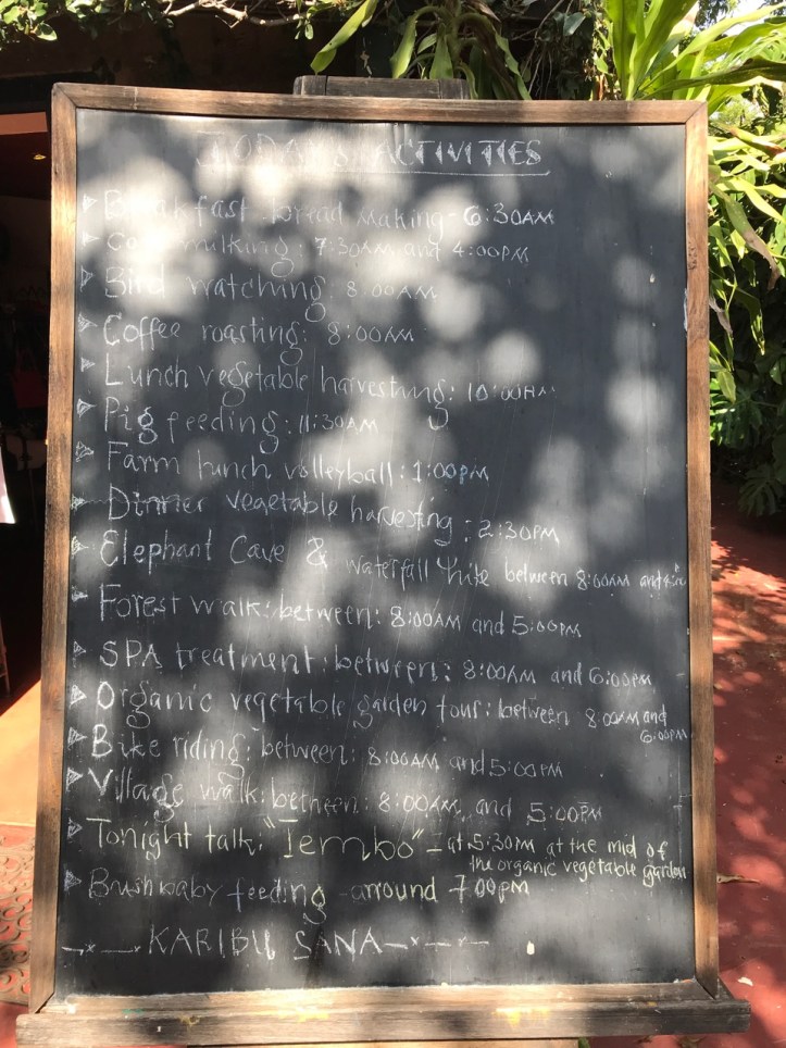 Kids on Safari: Gibb's Farm Hotel Review at Ngorongoro Crater, Tanzania