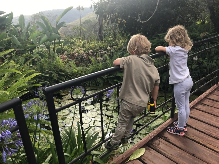 Kids on Safari: Gibb's Farm Hotel Review at Ngorongoro Crater, Tanzania
