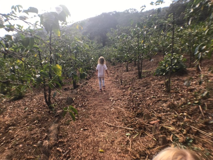 Kids on Safari: Gibb's Farm Hotel Review at Ngorongoro Crater, Tanzania