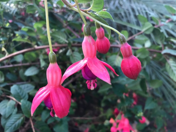 Kids on Safari: Gibb's Farm Hotel Review at Ngorongoro Crater, Tanzania