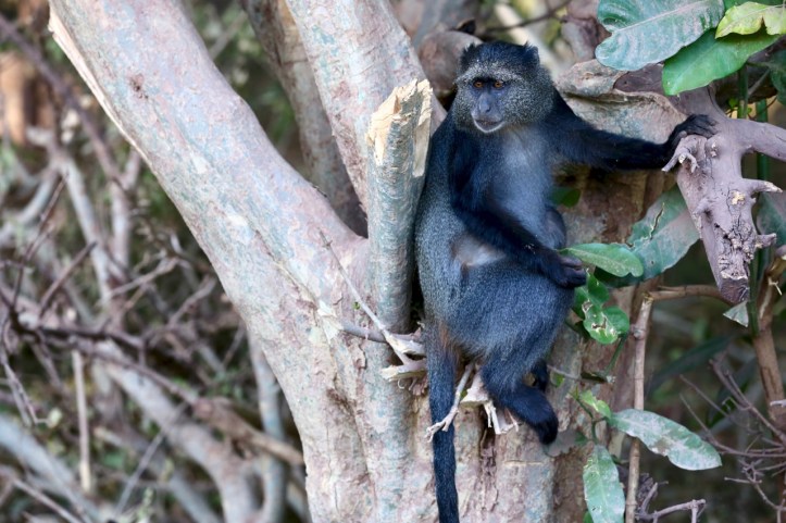 Blog_Lake Manyara - 15