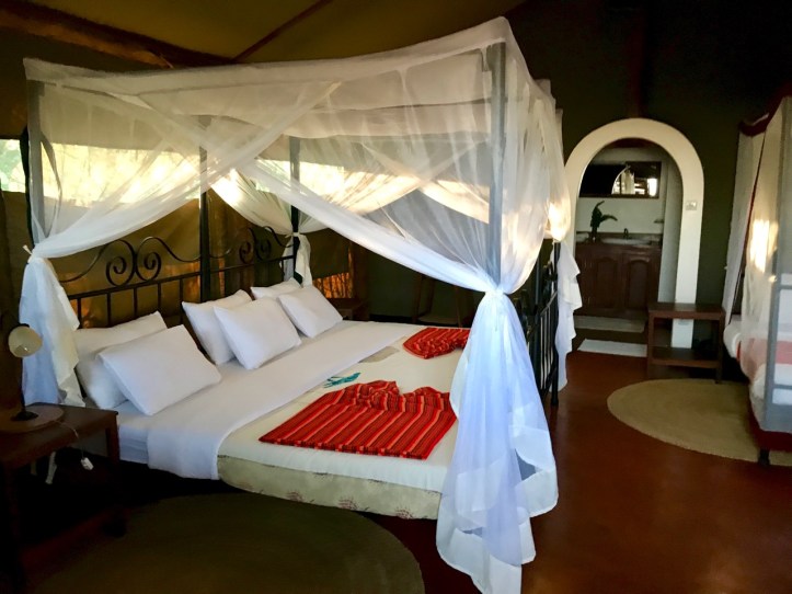 Kids on Safari: Lake Manyara National Park and Kirurumu Manyara Lodge | www.carriereedtravels.com